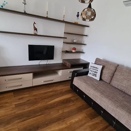 布拉索夫Apartament Mirubias公寓 外观 照片