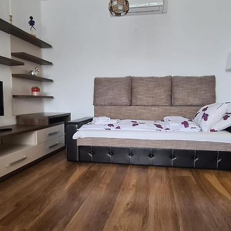 布拉索夫Apartament Mirubias公寓 外观 照片