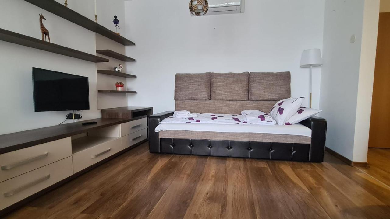 布拉索夫Apartament Mirubias公寓 外观 照片