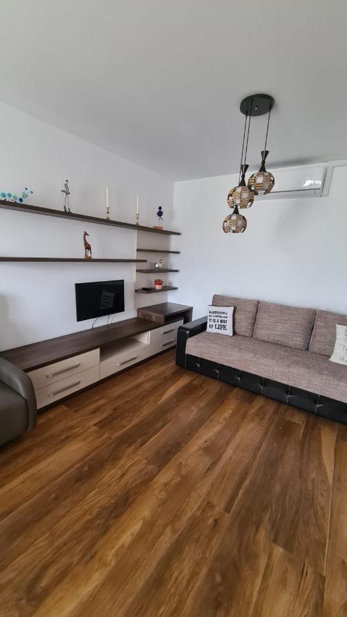 布拉索夫Apartament Mirubias公寓 外观 照片