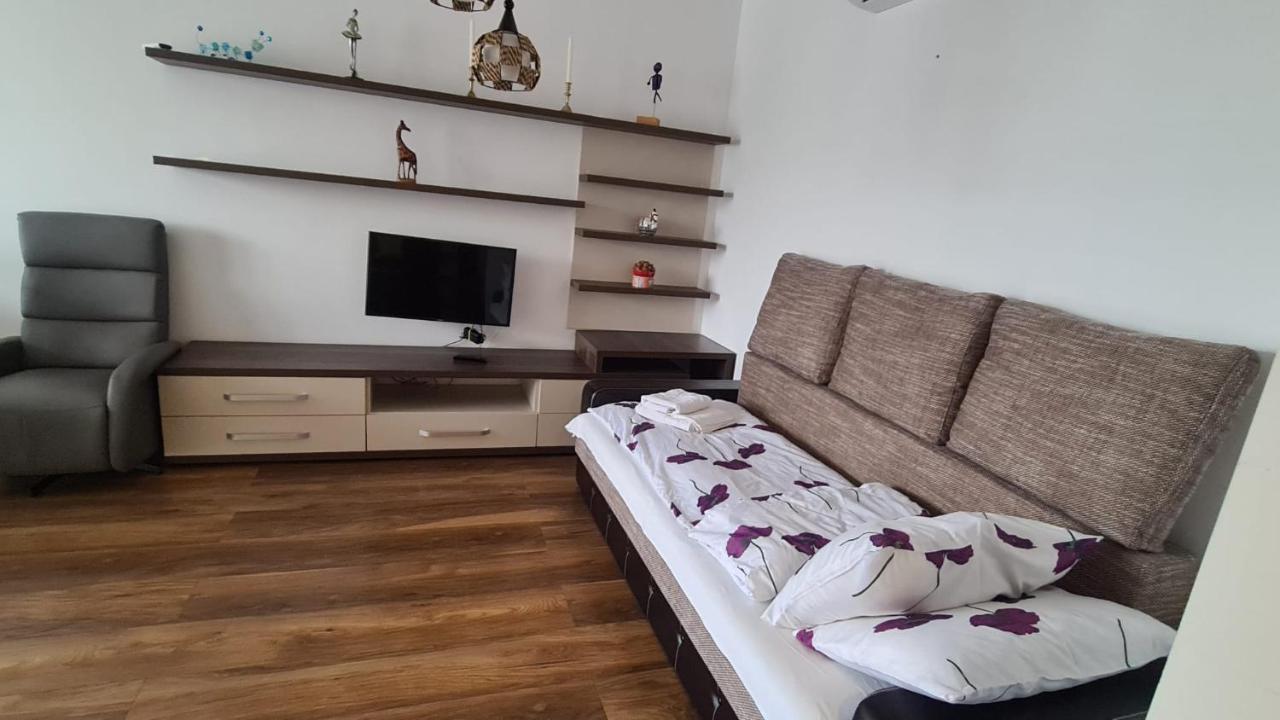 布拉索夫Apartament Mirubias公寓 外观 照片